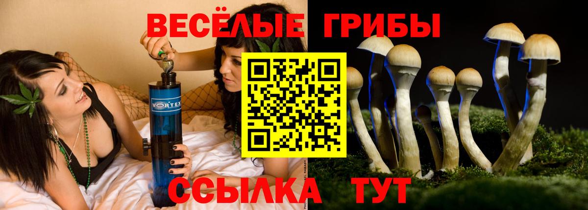 Галлюциногенные грибы MAGIC MUSHROOMS Надым